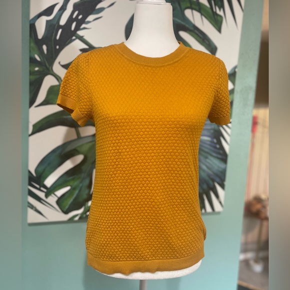 Maison Jules Tops - Maison Jules Mustard Textured Women's Top